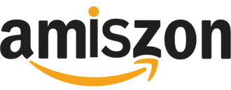 Amiszone