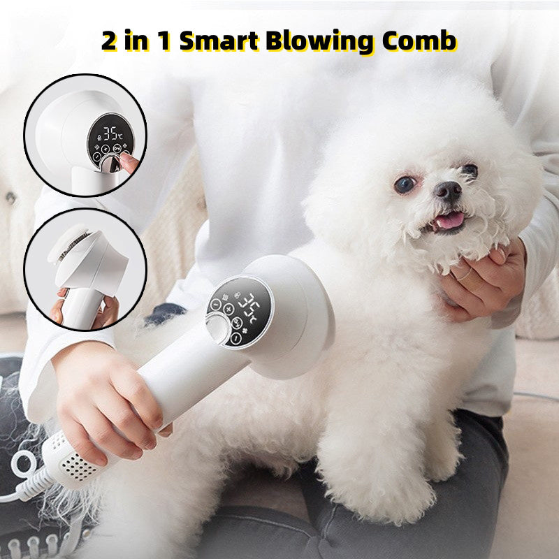 Pet Accessories